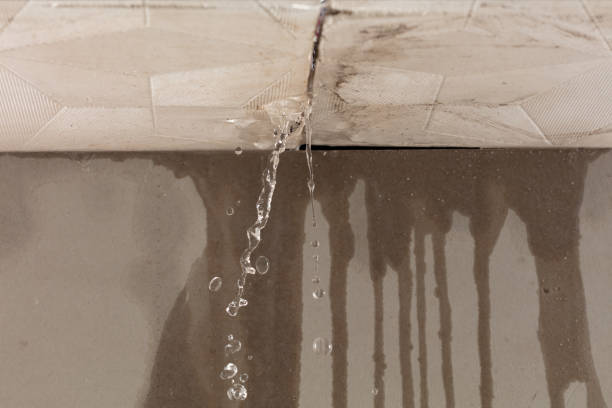 Professional Water Damage Repair technician working in Manor, TX